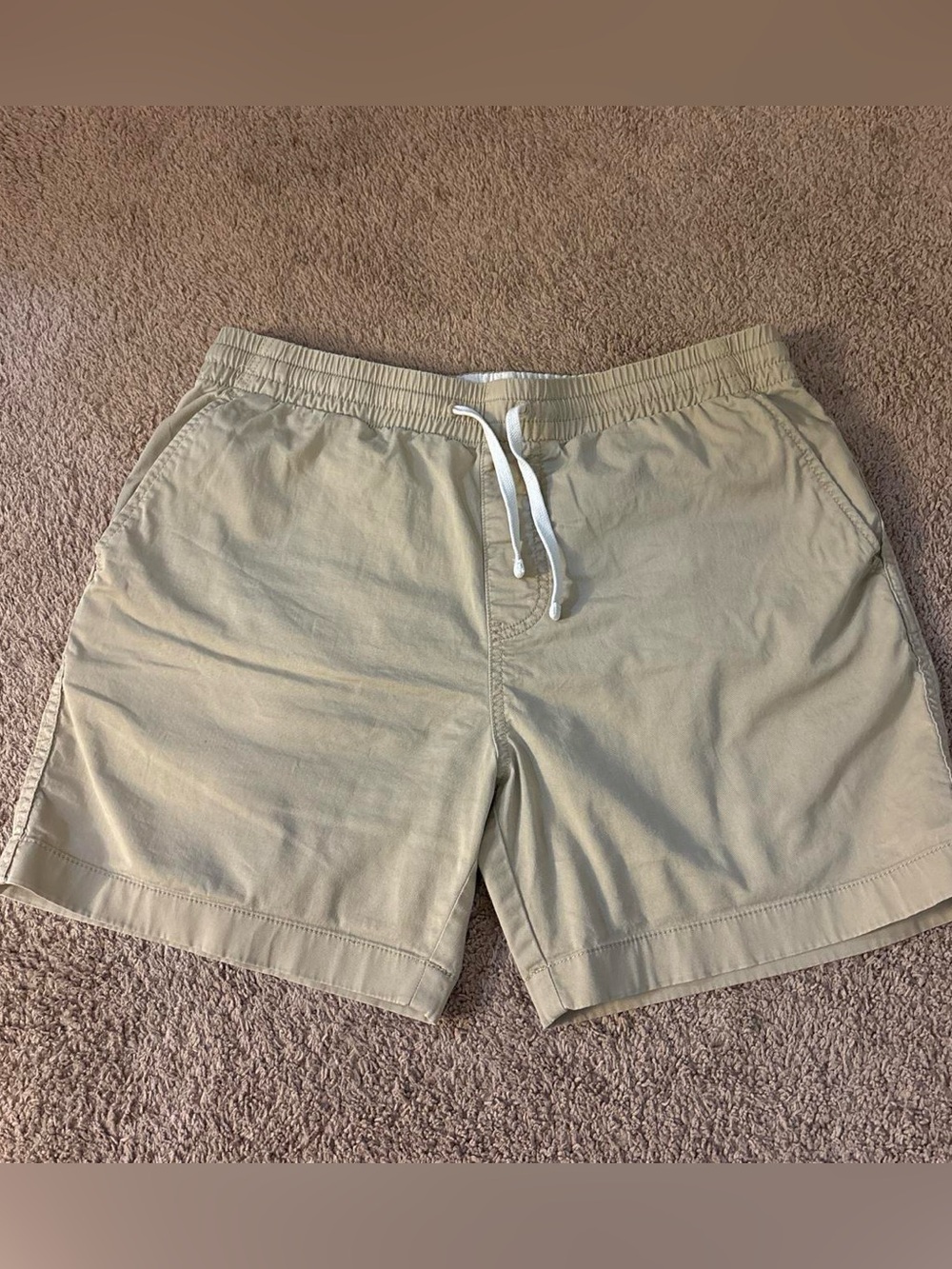 5 in J.Crew shorts